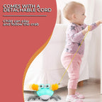 TubTime Crab Clockwork Bath Toy