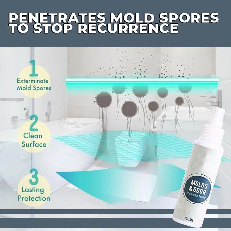 PowerMax 1-Spray Mold Remover