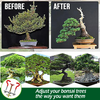 TreeClamp Medium Bonsai Branch Bender