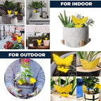 Sticky Fruit Fly Trap