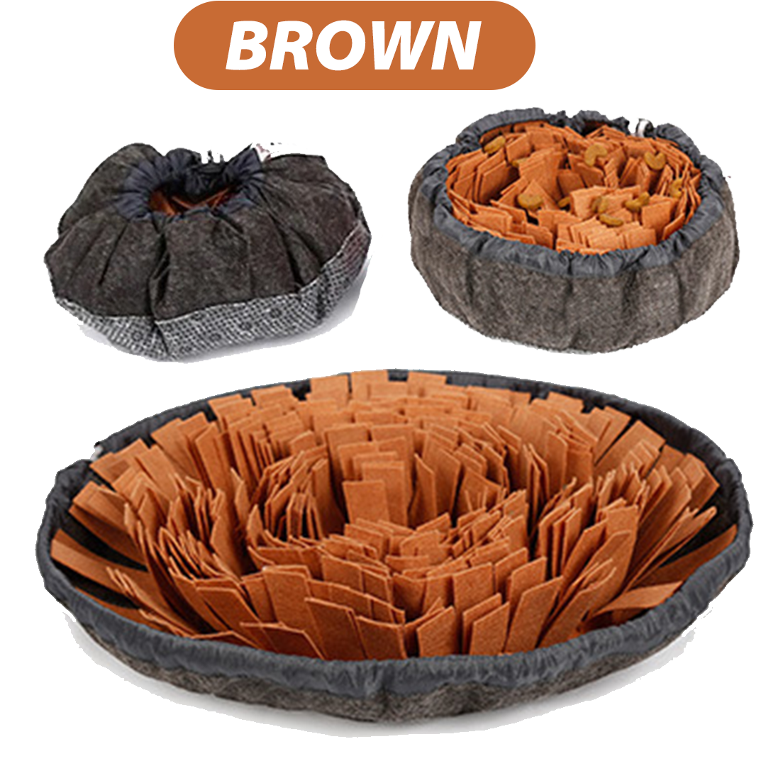 PetCARE Dog Sniffing Mat