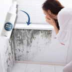 PowerMax 1-Spray Mold Remover