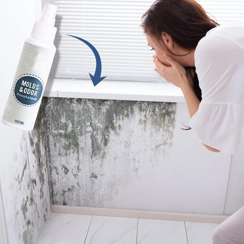 PowerMax 1-Spray Mold Remover