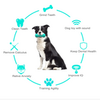 Dog Chewer Toothbrush Toy