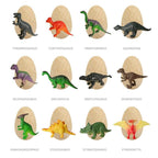 Dig the Dino Eggs Kit