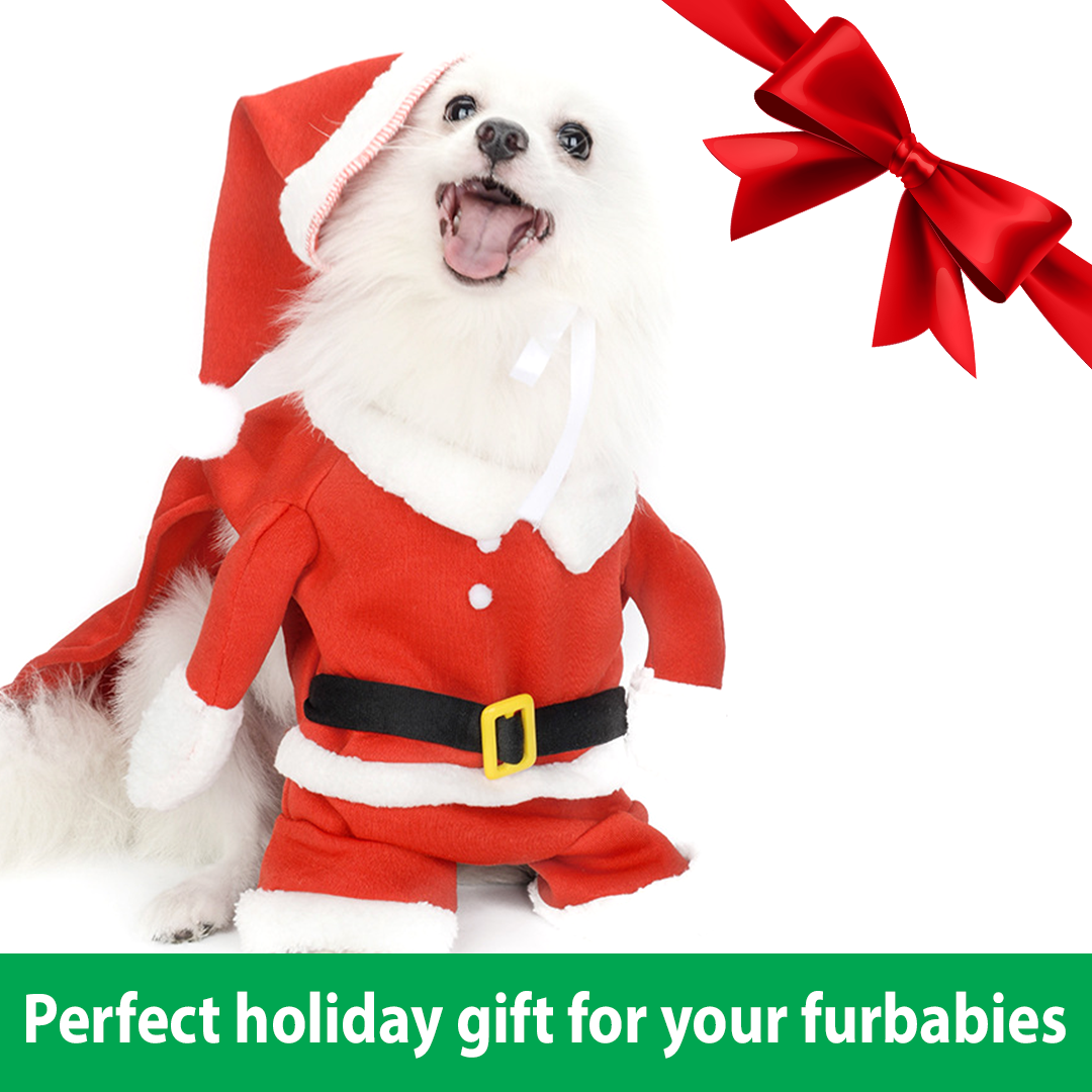 PoshPaws Pet Santa Claus Costume