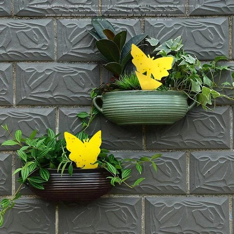 Sticky Fruit Fly Trap