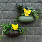 Sticky Fruit Fly Trap