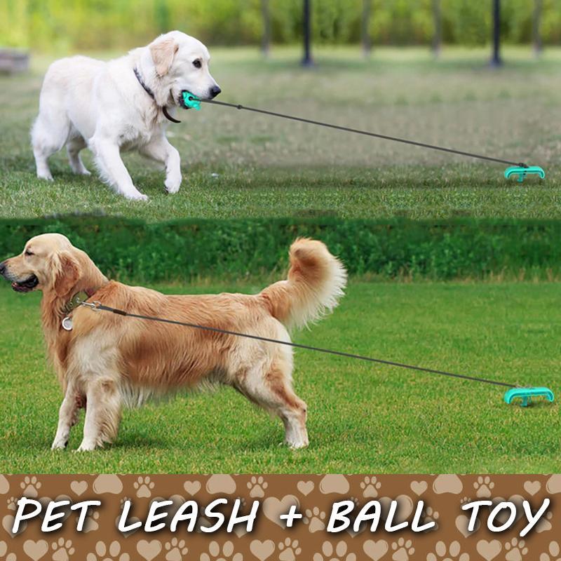Portable Outdoor Dog Peg Toy