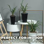 Orchid Double Planter with Mesh Pot