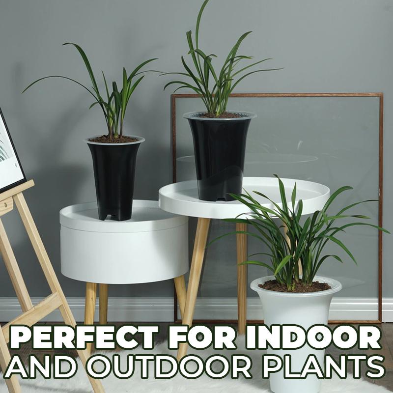 Orchid Double Planter with Mesh Pot