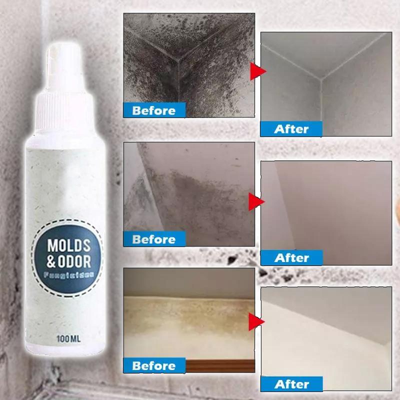 PowerMax 1-Spray Mold Remover