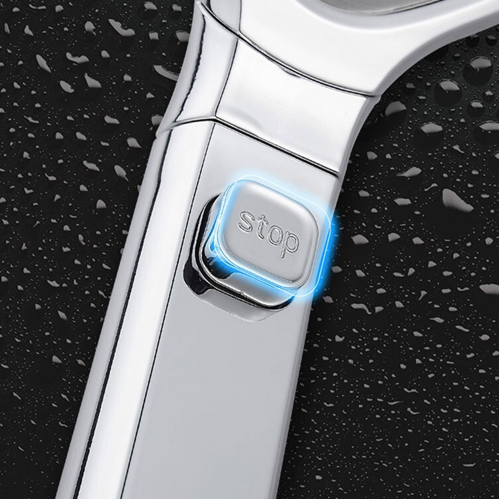 VG Handheld Pressurized Shower