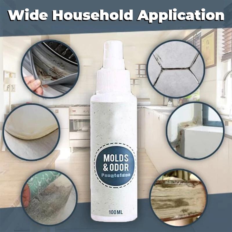 PowerMax 1-Spray Mold Remover