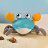 TubTime Crab Clockwork Bath Toy