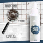 PowerMax 1-Spray Mold Remover