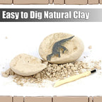 Dig the Dino Eggs Kit