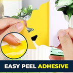 Sticky Fruit Fly Trap