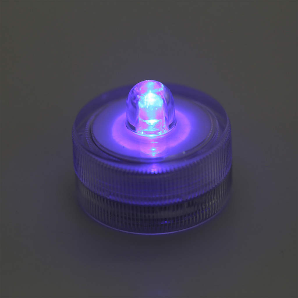 AquaCOOL Mini Fish Tank