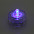 AquaCOOL Mini Fish Tank