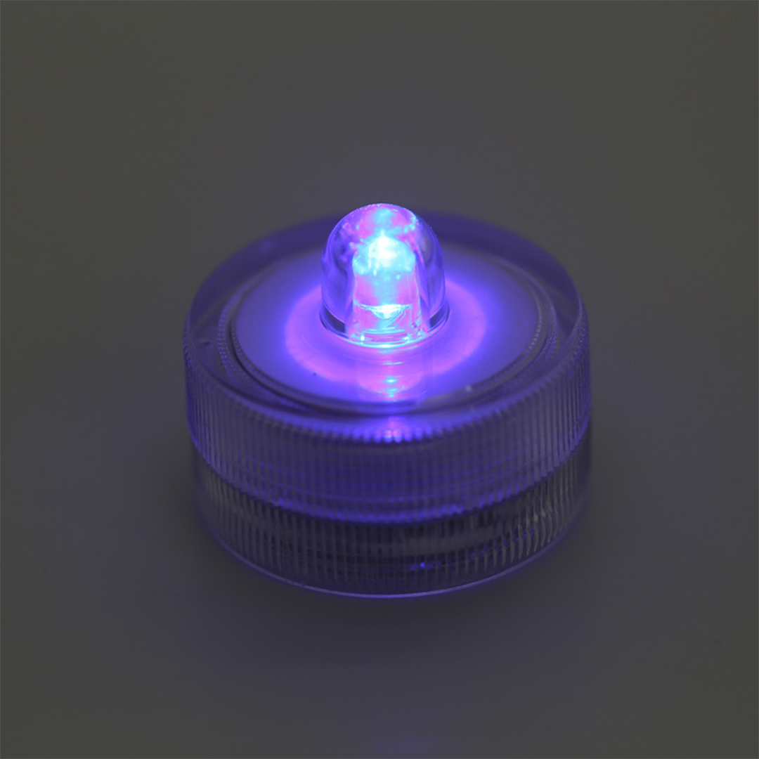 AquaCOOL Mini Fish Tank