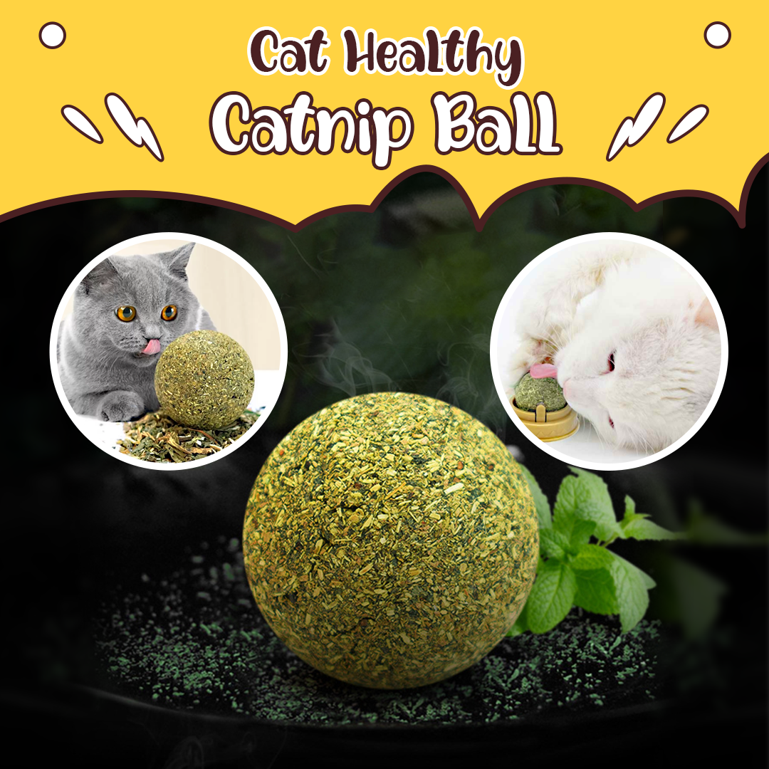 Cat Healthy Catnip Ball