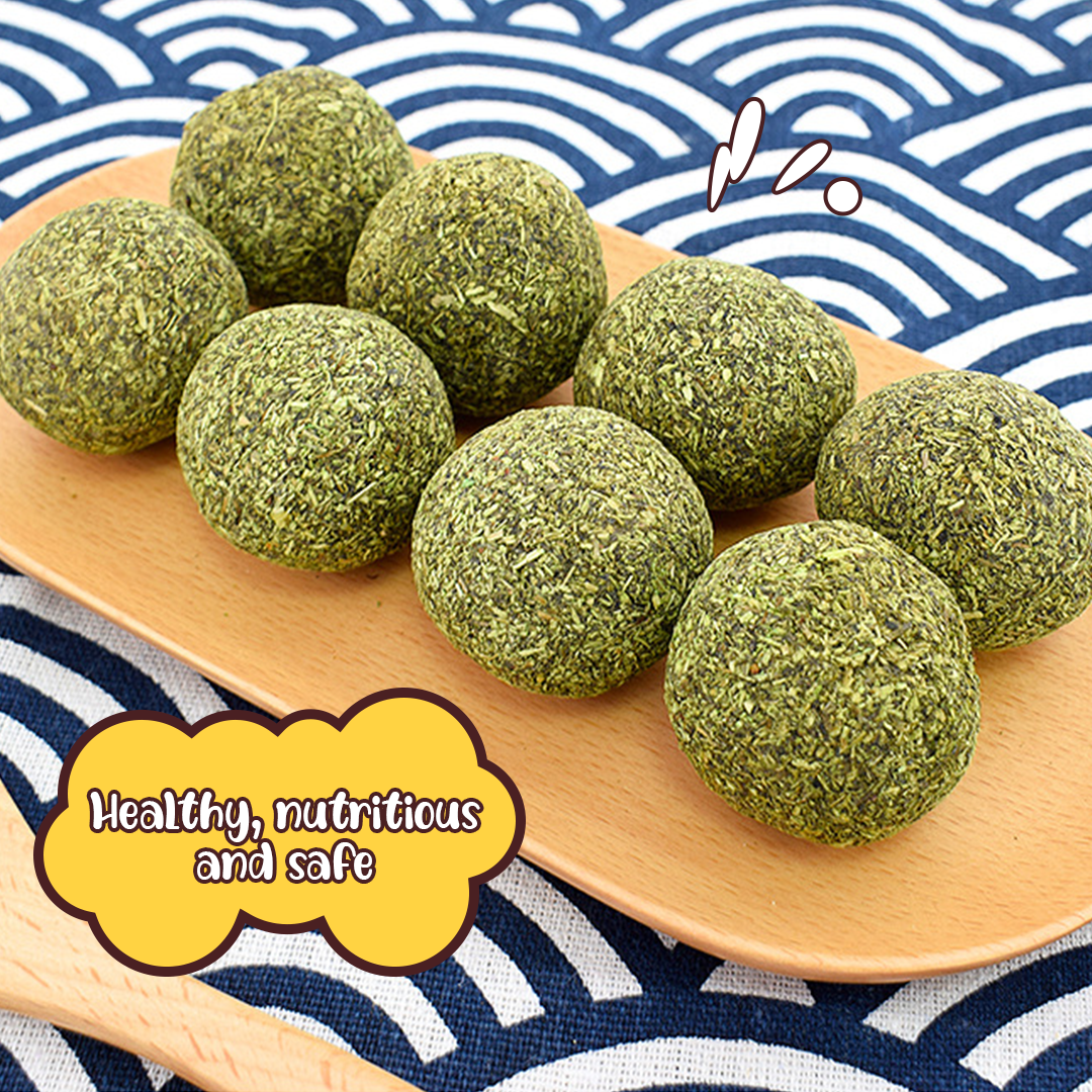 Cat Healthy Catnip Ball