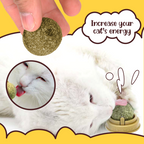 Cat Healthy Catnip Ball