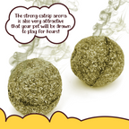 Cat Healthy Catnip Ball