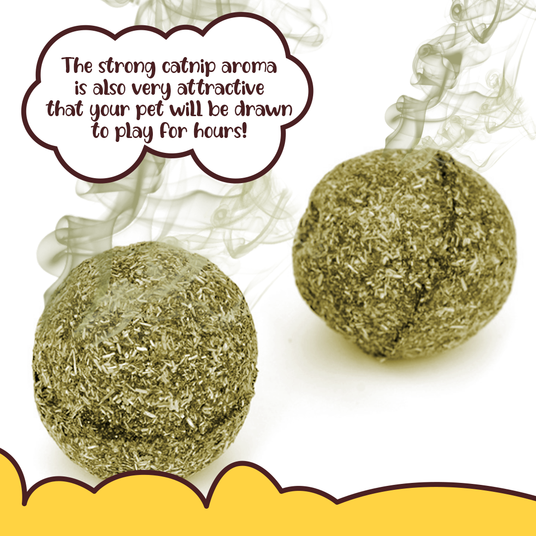 Cat Healthy Catnip Ball
