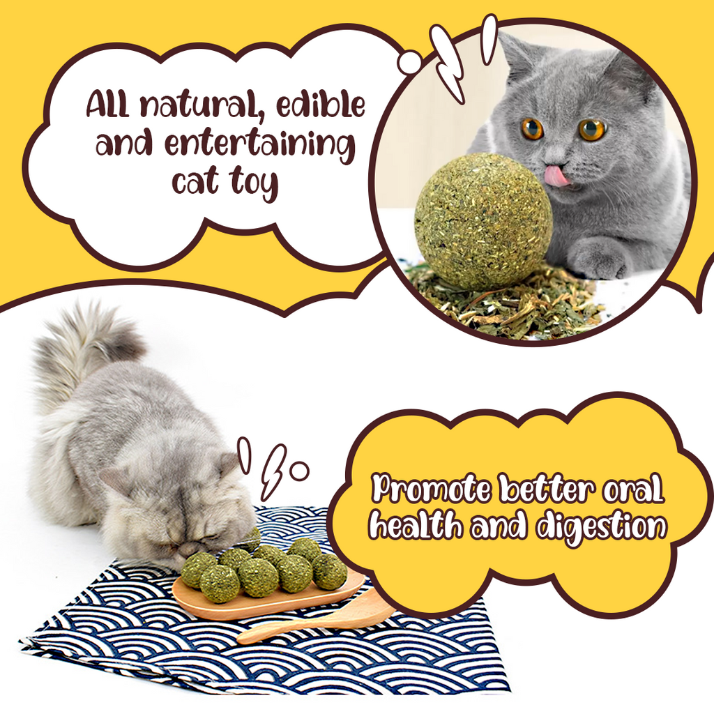 Cat Healthy Catnip Ball