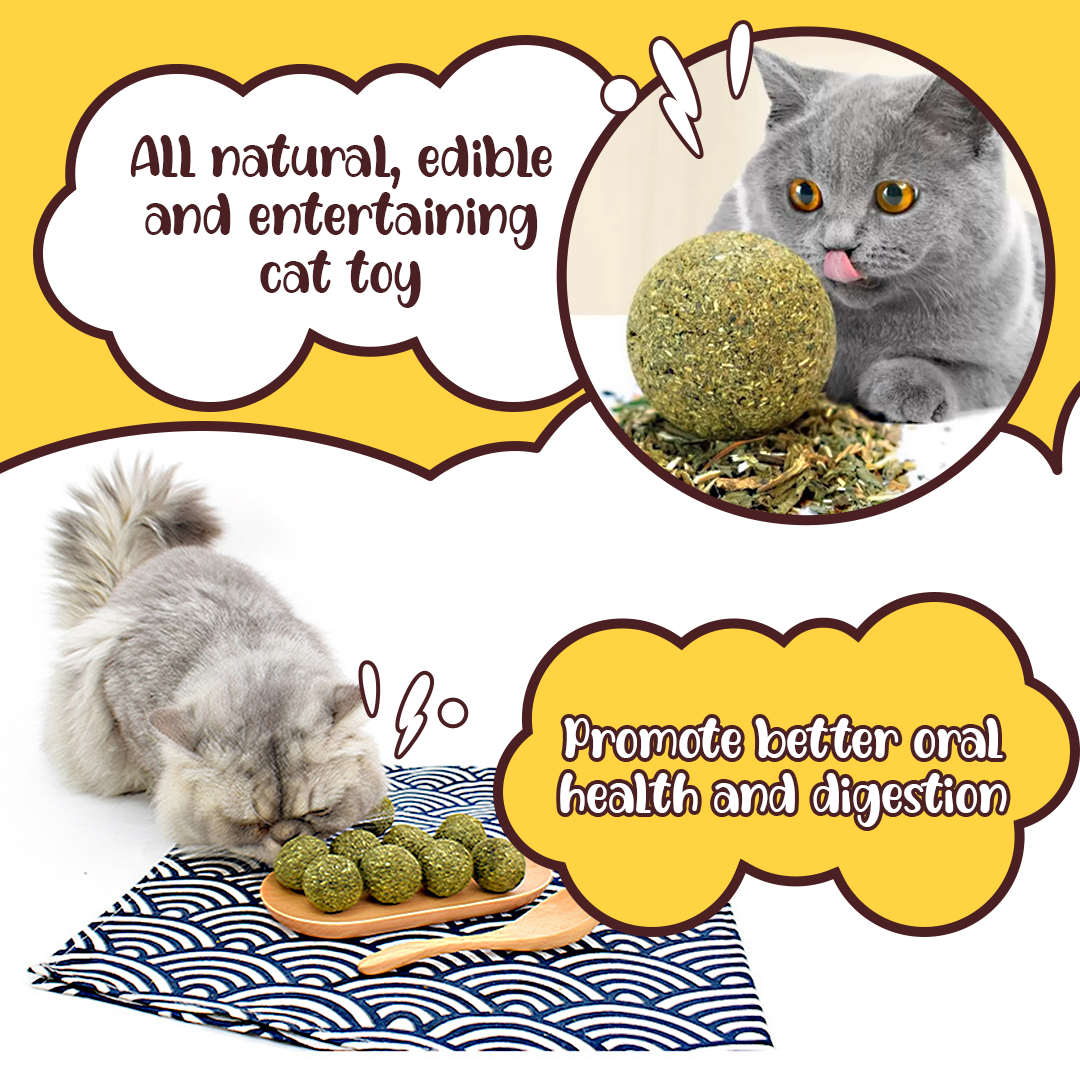 Cat Healthy Catnip Ball