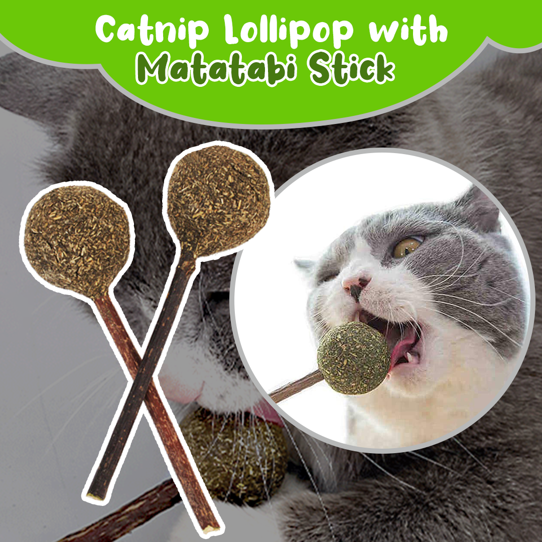 Catnip Lollipop with Matatabi Stick