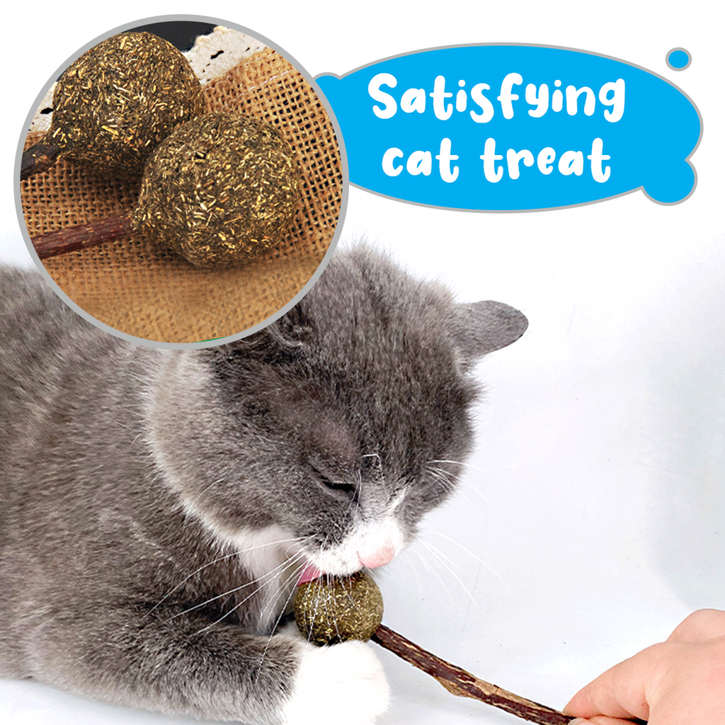 Catnip Lollipop with Matatabi Stick