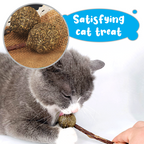 Catnip Lollipop with Matatabi Stick