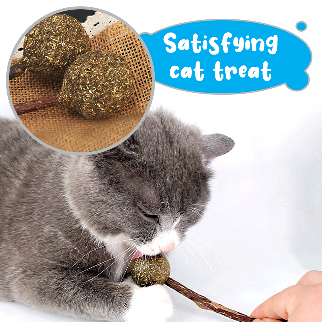 Catnip Lollipop with Matatabi Stick