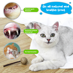 Catnip Lollipop with Matatabi Stick