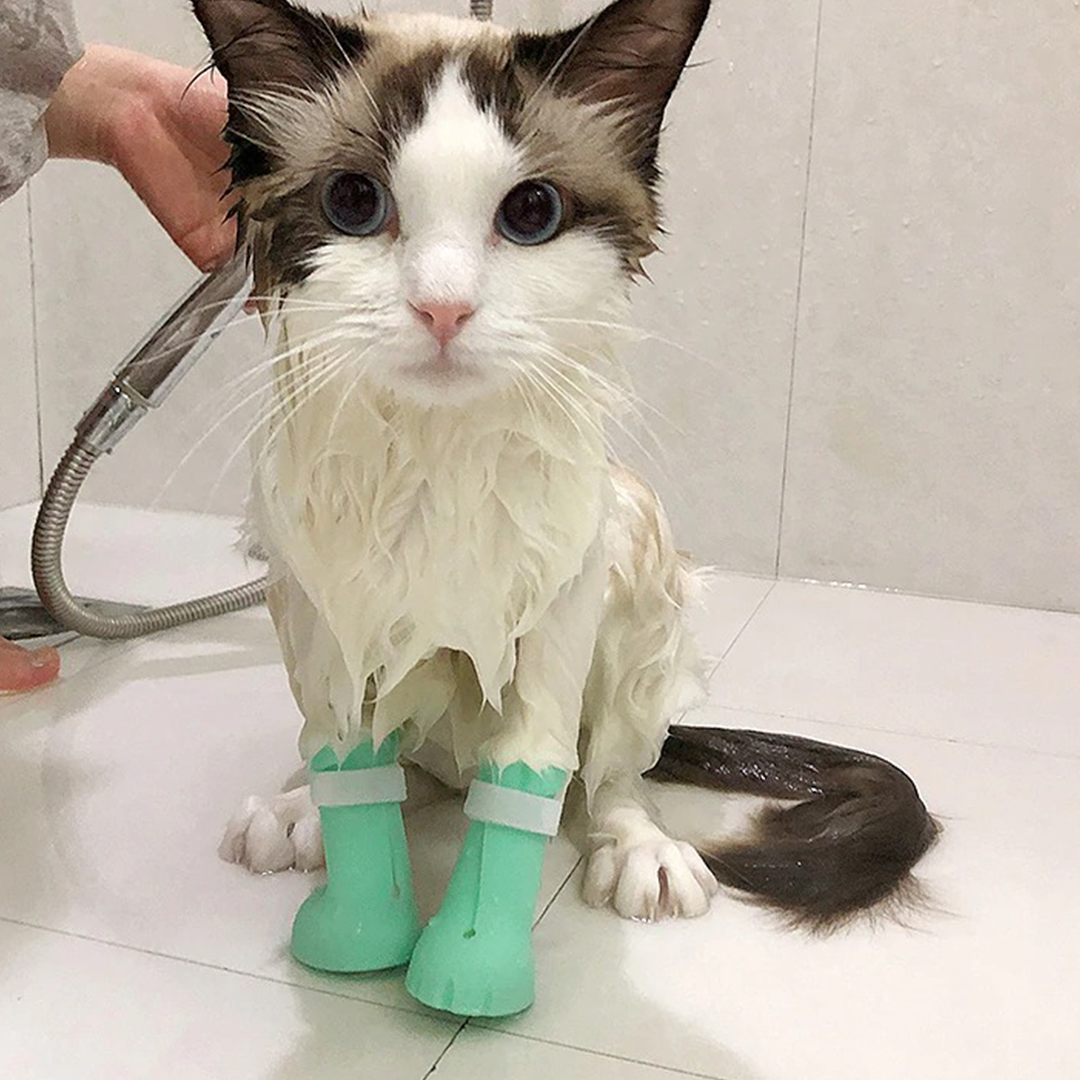 ClawOff Cat Nail Cover Shoes