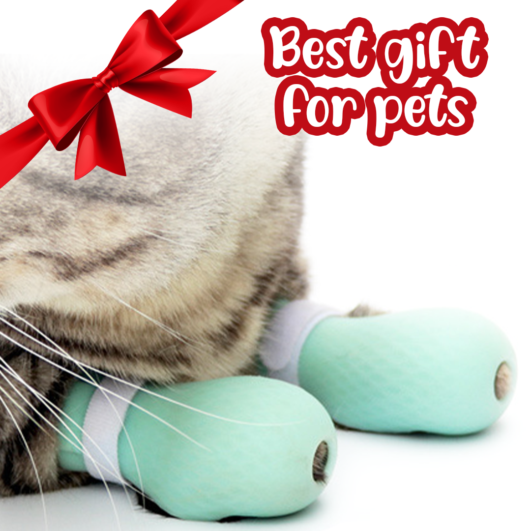 ClawOff Cat Nail Cover Shoes