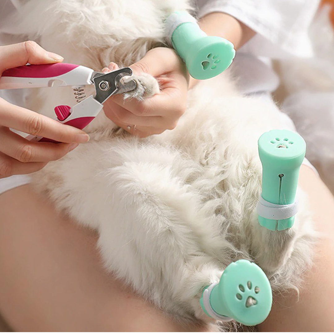 ClawOff Cat Nail Cover Shoes