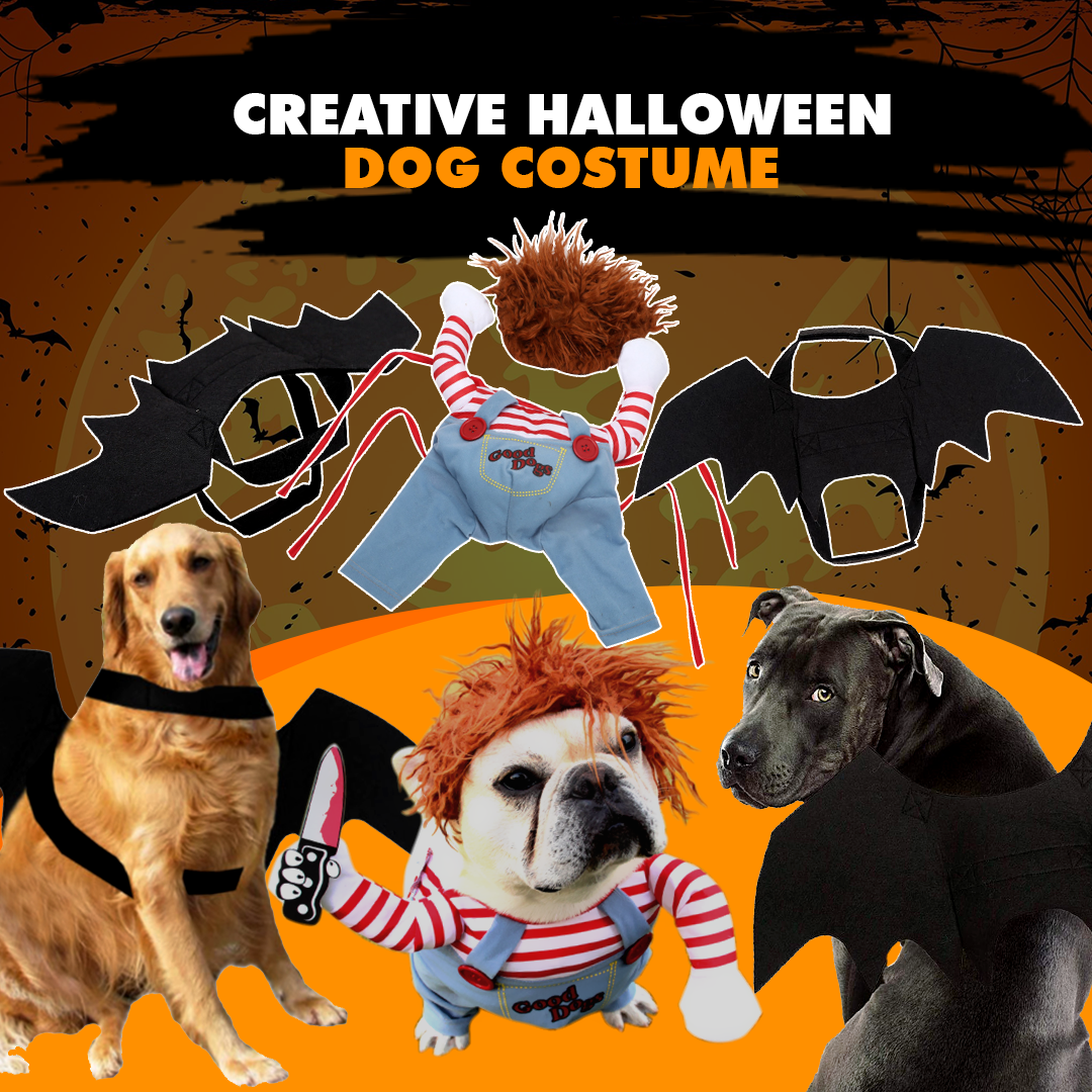 Creative Halloween Dog Costume