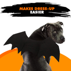 Creative Halloween Dog Costume