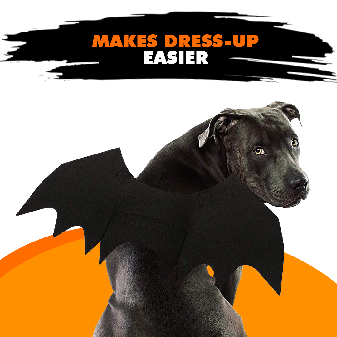 Creative Halloween Dog Costume