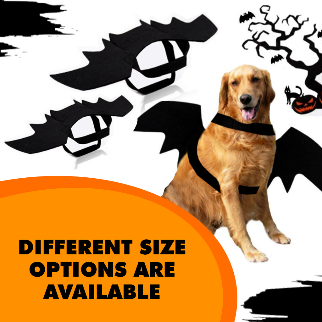 Creative Halloween Dog Costume