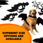 Creative Halloween Dog Costume