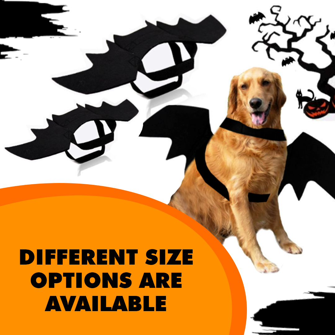 Creative Halloween Dog Costume