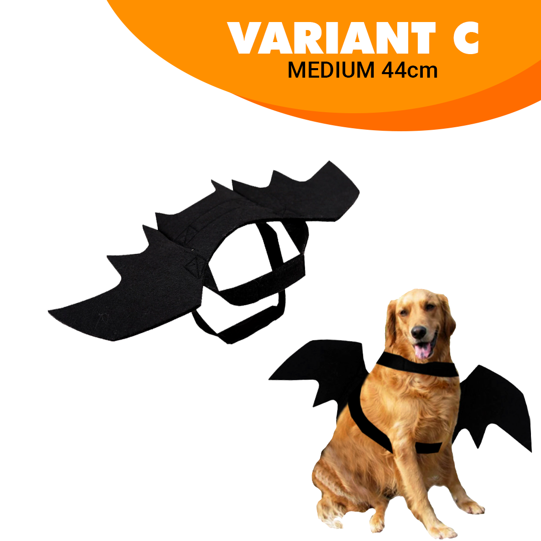 Creative Halloween Dog Costume
