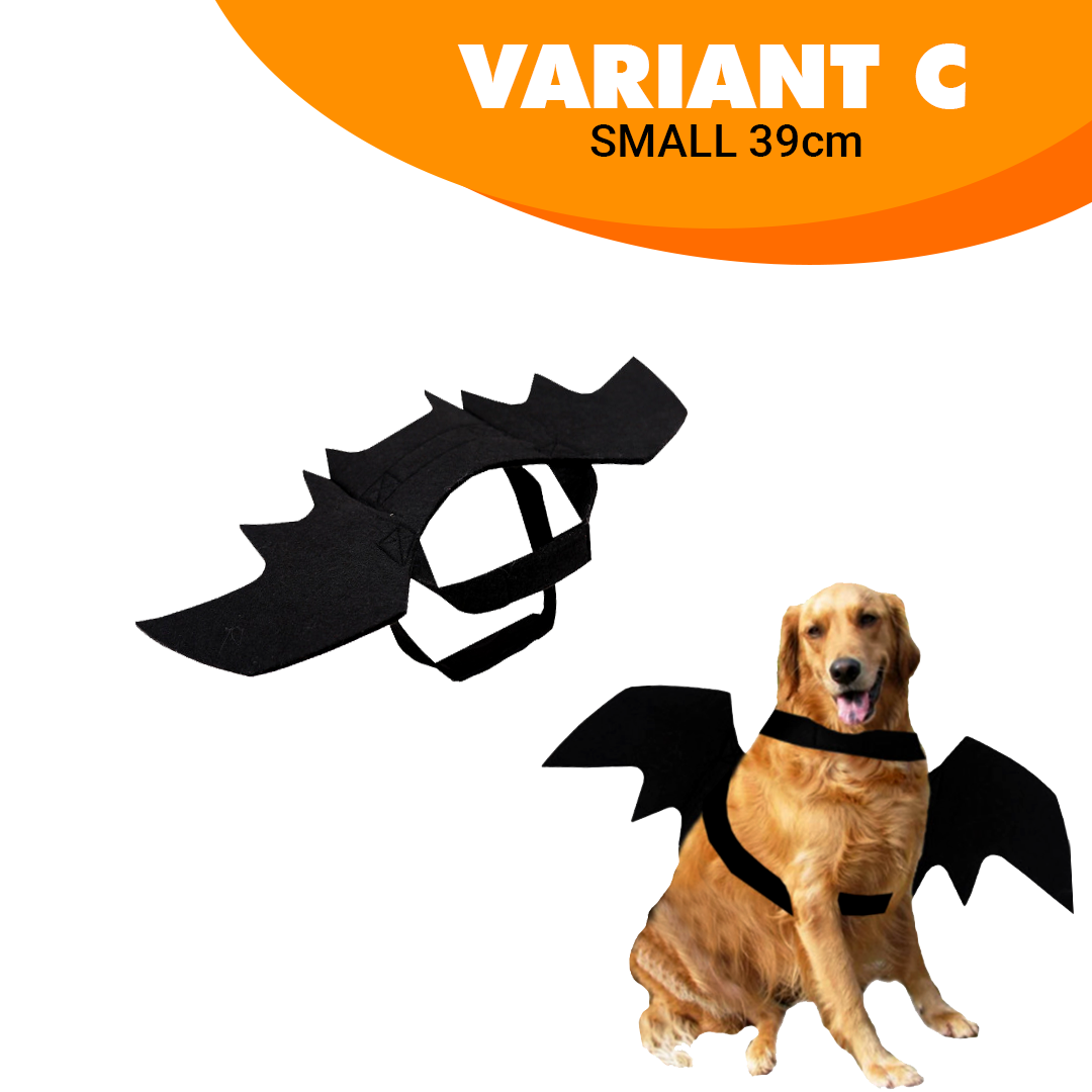 Creative Halloween Dog Costume
