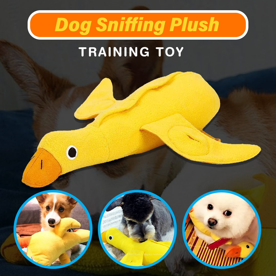 Dog Sniffing Plush Training Toy
