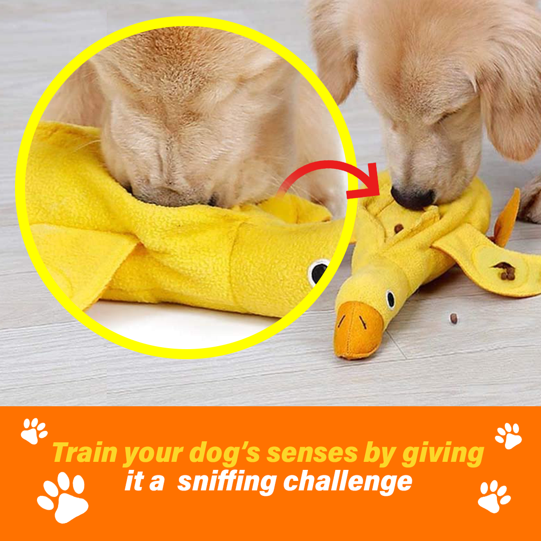 Dog Sniffing Plush Training Toy